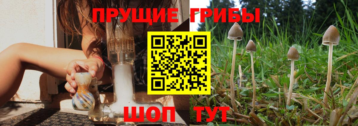 Псилоцибиновые грибы мицелий Ревда