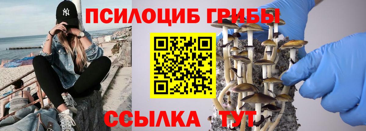 Ревда  Галлюциногенные грибы ЛСД  Вход с VPN  Галлюциногенные грибы GOLDEN TEACHER 